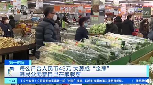 韩国大葱涨至43元一公斤