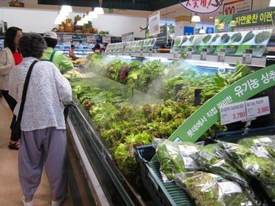 韩国大葱涨至43元一公斤