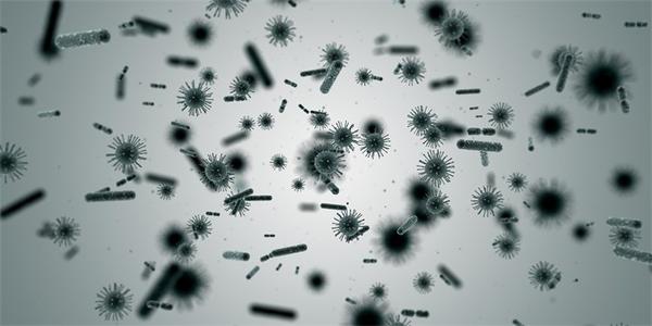 马王堆曾发现中国最早结核菌 结核菌感染能自愈吗