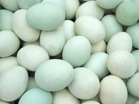 鸡蛋、鸭蛋、鹌鹑蛋、鸽子蛋,哪种更适合给宝宝吃？关键看营养