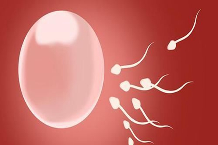 排卵期有什么表现症状,备孕女性可抓紧“造人”
