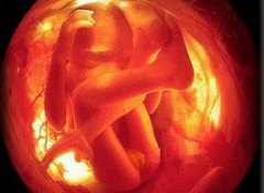 【孕晚期B超】孕晚期B超检查什么_孕晚期做B超对胎儿好不好