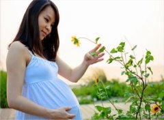 【3月胎儿发育】怀孕3月胎儿发育情况_孕妇3月胎儿发育情况