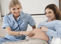 【6月胎儿发育】6月胎儿发育情况_6月胎儿发育指标