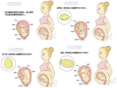 【9月胎儿发育】怀孕9月胎儿发育情况_9月胎儿发育标准