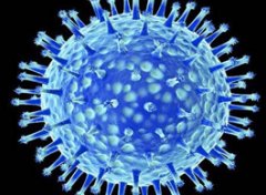 H7N9禽流感来袭 先为宝宝们做好预防工作