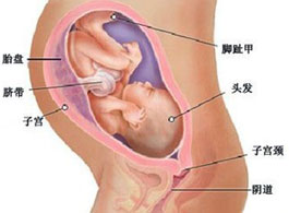 【怀孕32周】怀孕32周胎儿发育标准_怀孕32周羊水指数多少正常