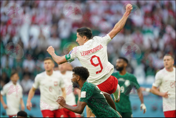 2022 年世界杯波兰vs沙特阿拉伯 (上半场1-0)