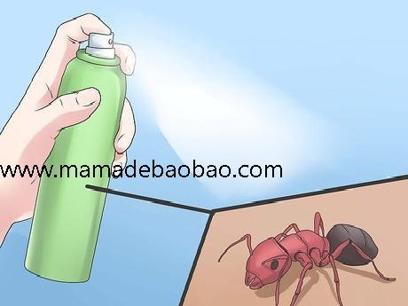 4种方法来去除蚂蚁（搞定蚁巢或蚁丘）