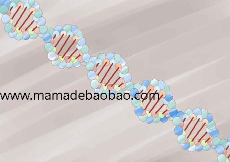如何制作DNA模型（用粘土做模型）