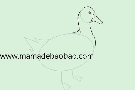 如何画鸭子（简单的小鸭子）