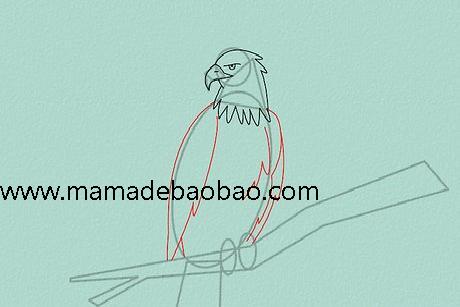 4种方法来画老鹰 - （栖息在树枝上的老鹰）