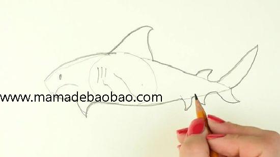 4种方法来画鲨鱼 - （画一条卡通鲨鱼）