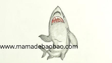 4种方法来画鲨鱼 - （画一条卡通鲨鱼）