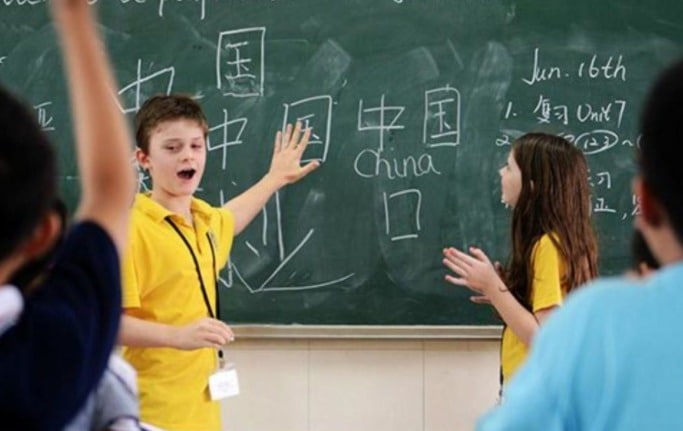 双语教育(中文-英文方面)