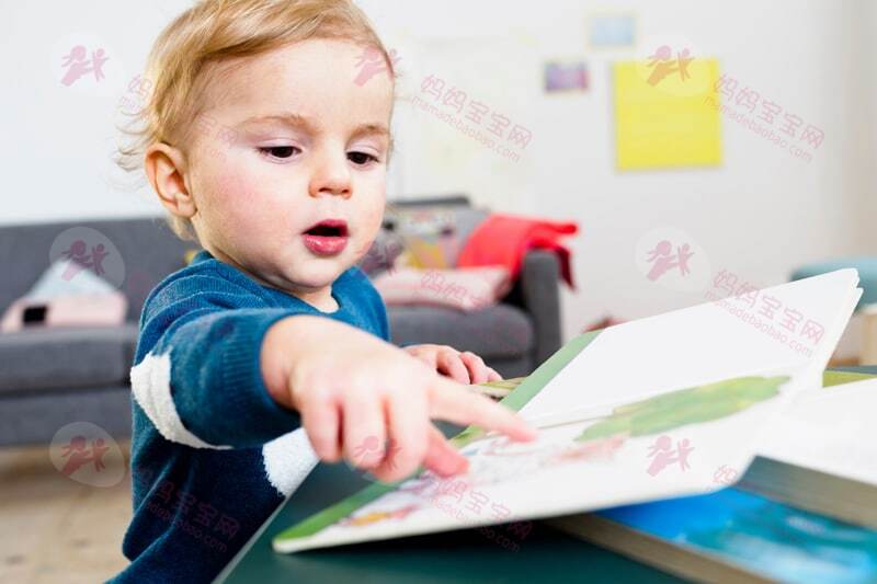 适合0到3岁宝宝阅读的美国儿童纸板书（Board Books）
