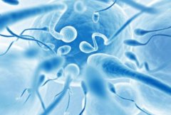 揭秘精子不液化的隐忧：专业解读原因及防范方法