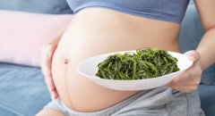孕妇DHA的关键，斯利安藻油DHA让胎儿智力多看一行