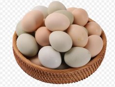 寻觅纯净的健康：草鸡蛋价格与购买指南