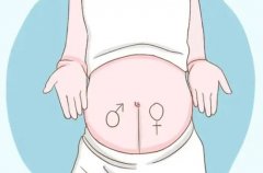 孕妇胎动早是女孩还是男孩？解析胎动的种种迹象