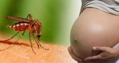 夏季护肤防蚊指南：孕妇如何科学驱蚊