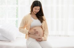 怀孕期间的DHA补充：你必须知道的事情