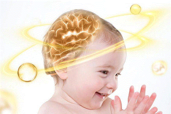 小孩补脑提高记忆力：抓住黄金时期，科学饮食助成长