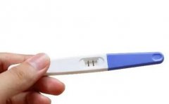 胎儿性别检测试纸：原理、准确性与科学依据