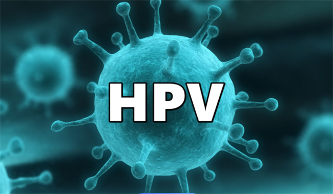 HPV阳性转阴时间？预防与治疗你必须知道的事