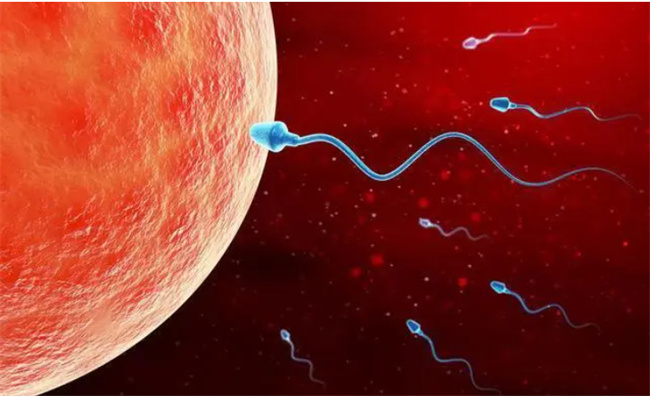 掌握女性安全期，科学避孕从现在开始