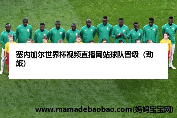 塞内加尔世界杯视频直播网站球队晋级（劲旅）