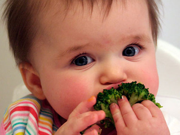 6个月婴儿零食菜单中纤维的魔力