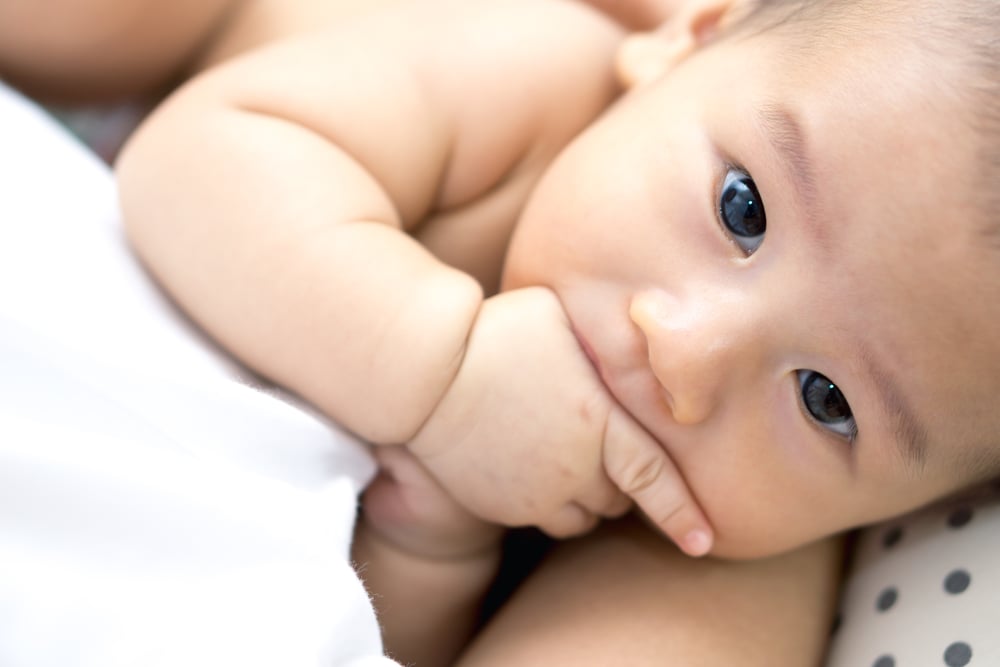 婴儿吸吮的手在哪里?父母需要做什么?