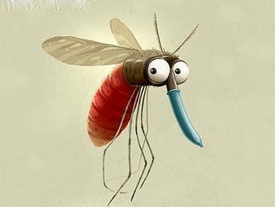 孕期前三月感染寨卡病毒易引发小头症，蚊子是主要传播途径
