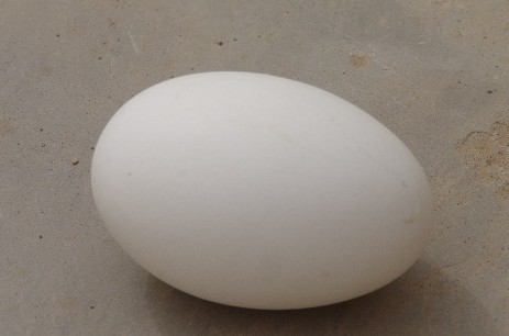 孕妇能吃鹅蛋吗？孕妇吃鹅蛋有哪些好处？