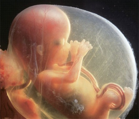 胚胎停育的六个因素！