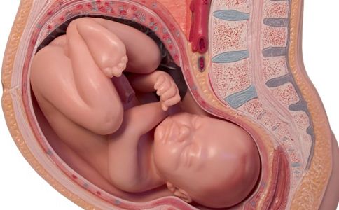 子宫后位如何受孕 子宫后位受孕姿势图