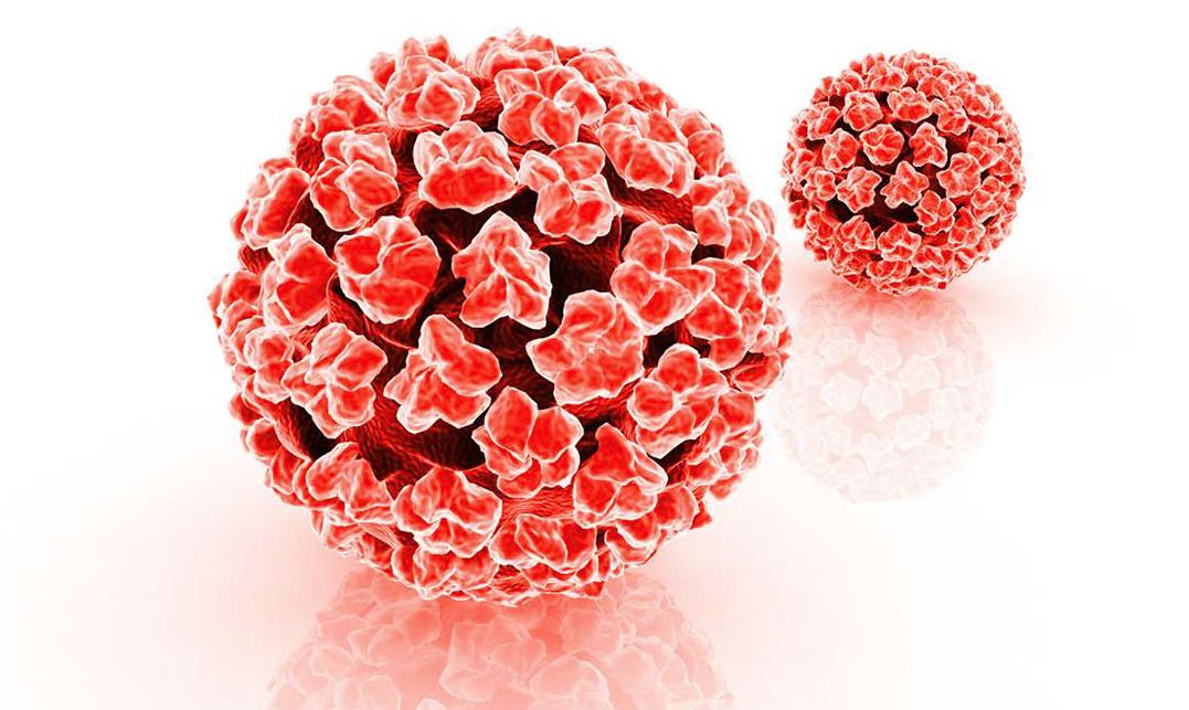 HPV检查报告怎么看 HPV检查正常值及分析结果说明