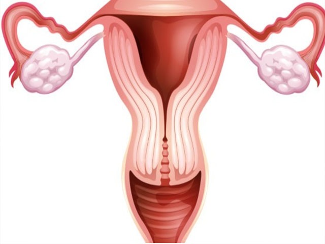 女性阴道炎的症状 女性阴道炎有哪些症状