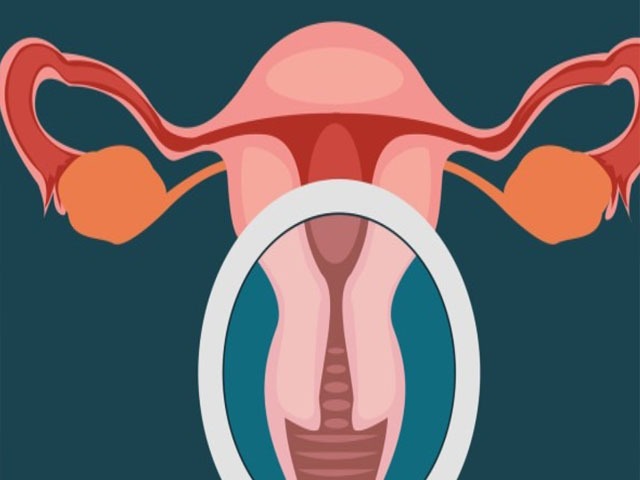 卵巢的保养方法 月经后怎样保养卵巢和子宫