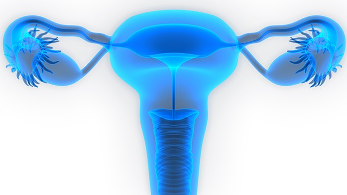 子宫肌瘤可以预防吗