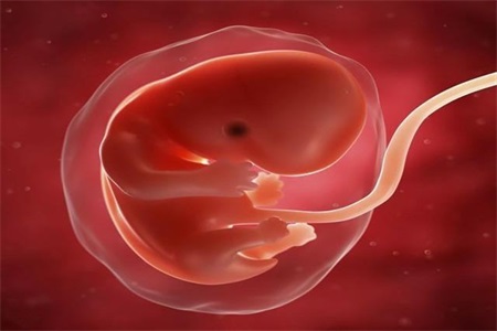 怀孕的初期症状,女性怀孕初期的明显征兆及注意事项