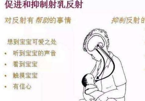 乳汁是血液变成的还是直接由食物变成的 乳汁什么怎么样形成的？