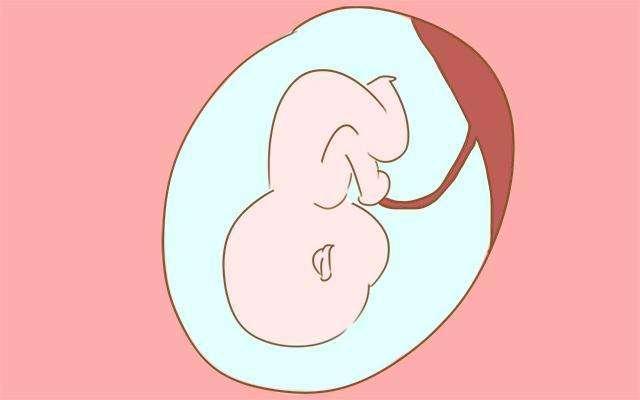 孕期怎么看懂胎儿大小,双顶径,股骨长,头围和腹围？(附对照表)