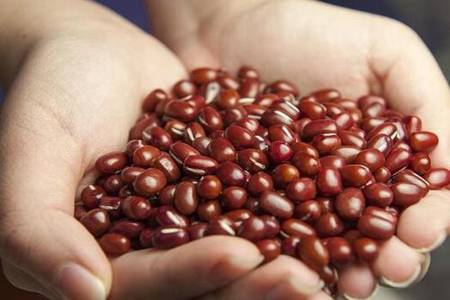 红豆的五个功效与作用,补铁养血滋养出好皮肤