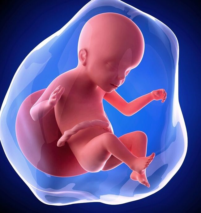 孕妇什么时候吃核桃对胎儿最好？胎儿大脑3个发育高峰期,别错过
