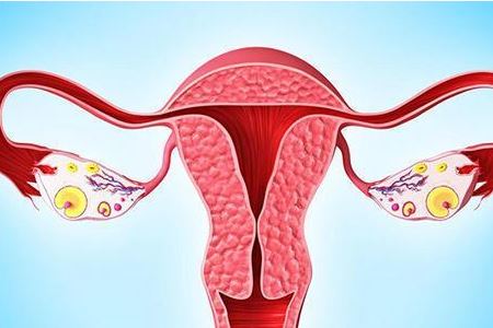 卵巢偏大会有什么影响