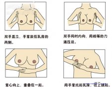 【孕期乳房护理】孕妇乳房护理怎么做_孕期乳房护理注意事项
