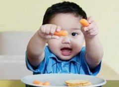【1岁半宝宝食谱】一岁半宝宝吃什么好_一岁半宝宝可以吃什么