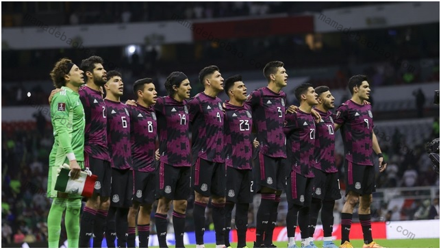  墨西哥球队在本次世界杯中会有怎样得表现看分析 (小组赛)